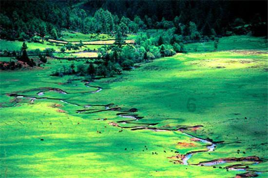 专业知识星球平台——18厘米等于几英寸?,成为行业翘楚