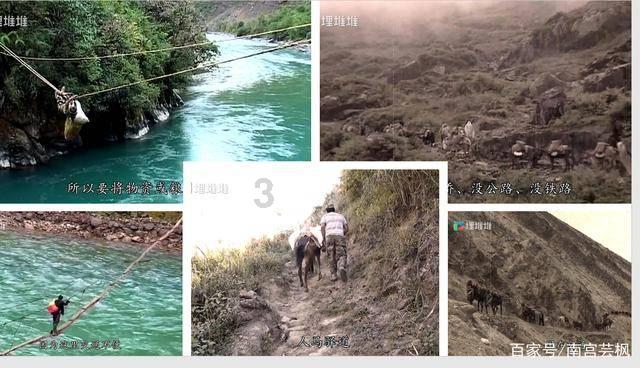 李大爷用24米的篱笆靠一面墙围成一个长方形或正方形 怎样为面积最大?最大面积是多少平
